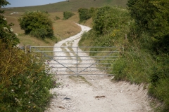 Chalk path