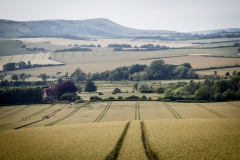 The South Downs